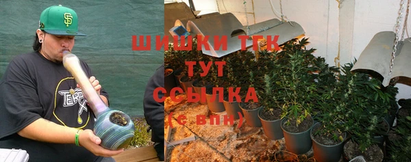 гидра Арсеньев