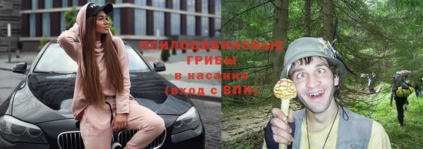 гидра Арсеньев