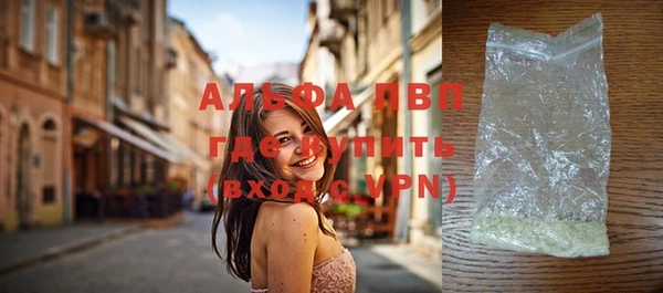 гидра Арсеньев