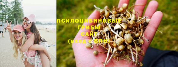 каннабис Армянск